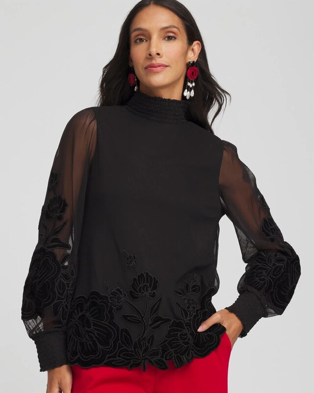 Sheer Mesh Velvet Applique Top - image 1